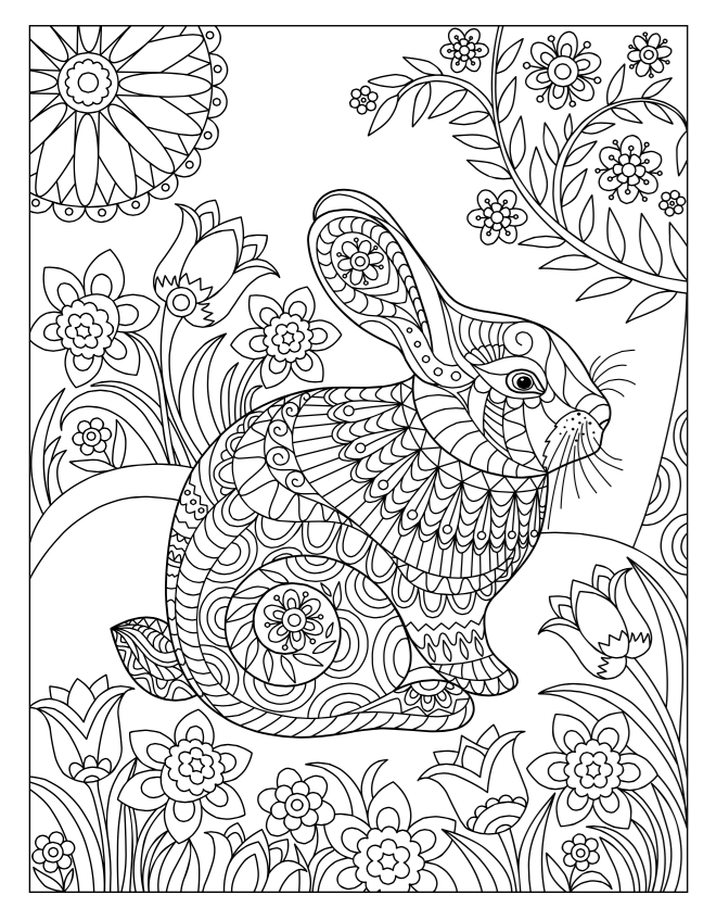 Spring Bunny Zona Rosa